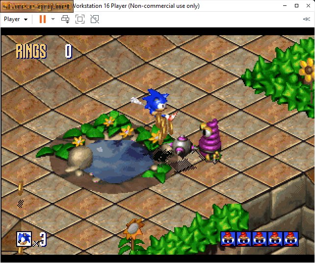Sonic 3D: Flickies' Island