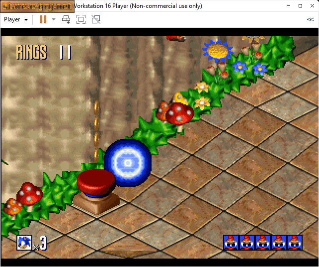 Sonic 3D: Flickies' Island