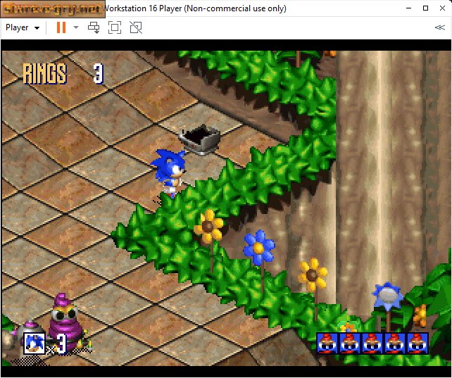 Sonic 3D: Flickies' Island
