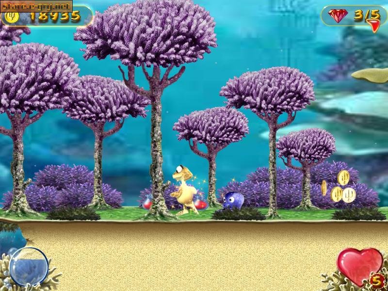 Turtle Odyssey