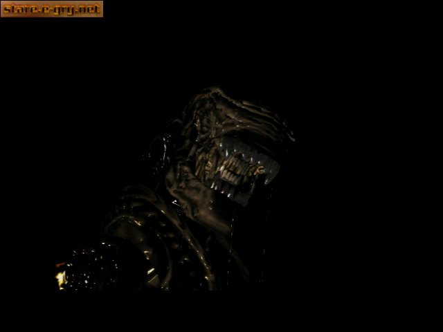 Aliens Versus Predator