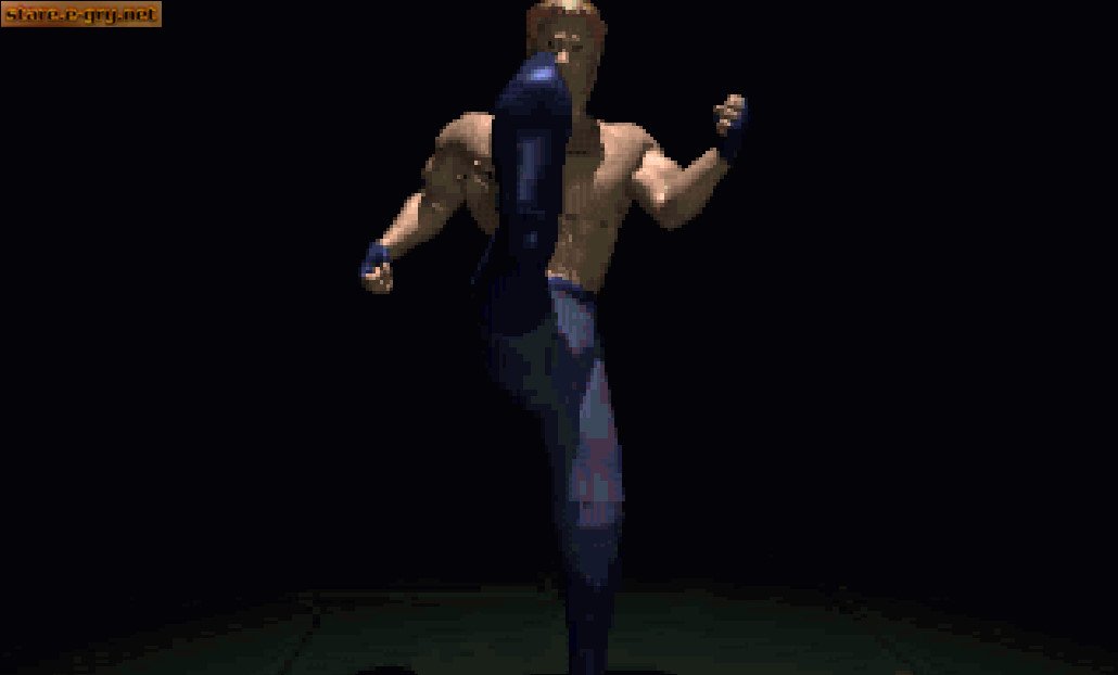 FX Fighter