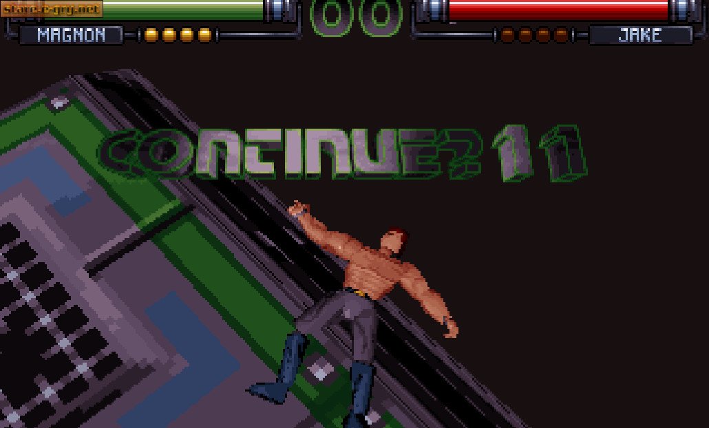 FX Fighter
