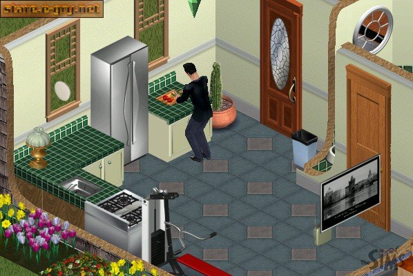 The Sims