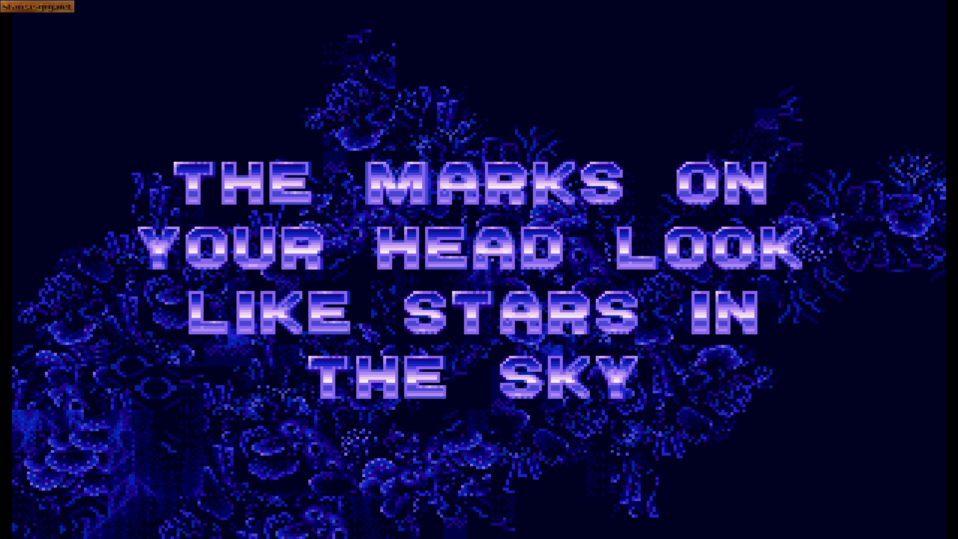 Ecco the Dolphin