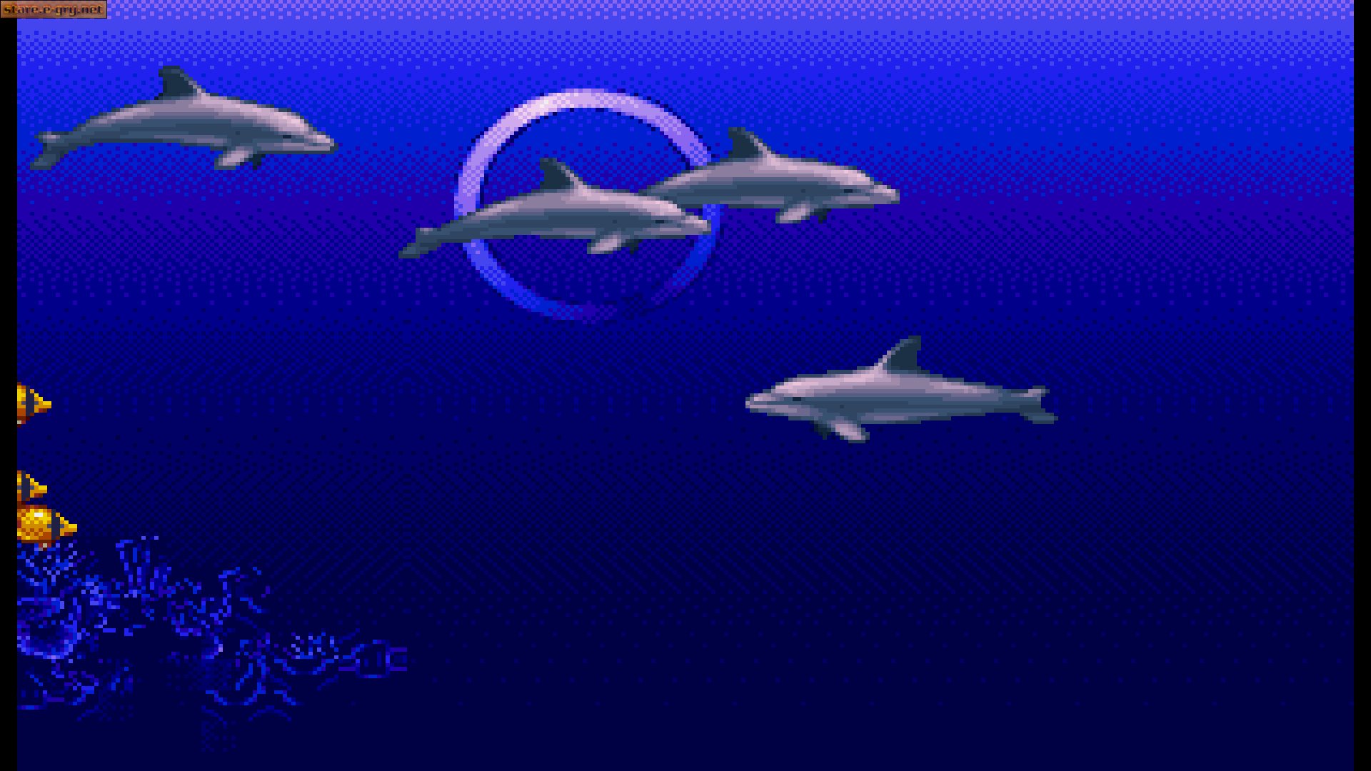 Ecco the Dolphin