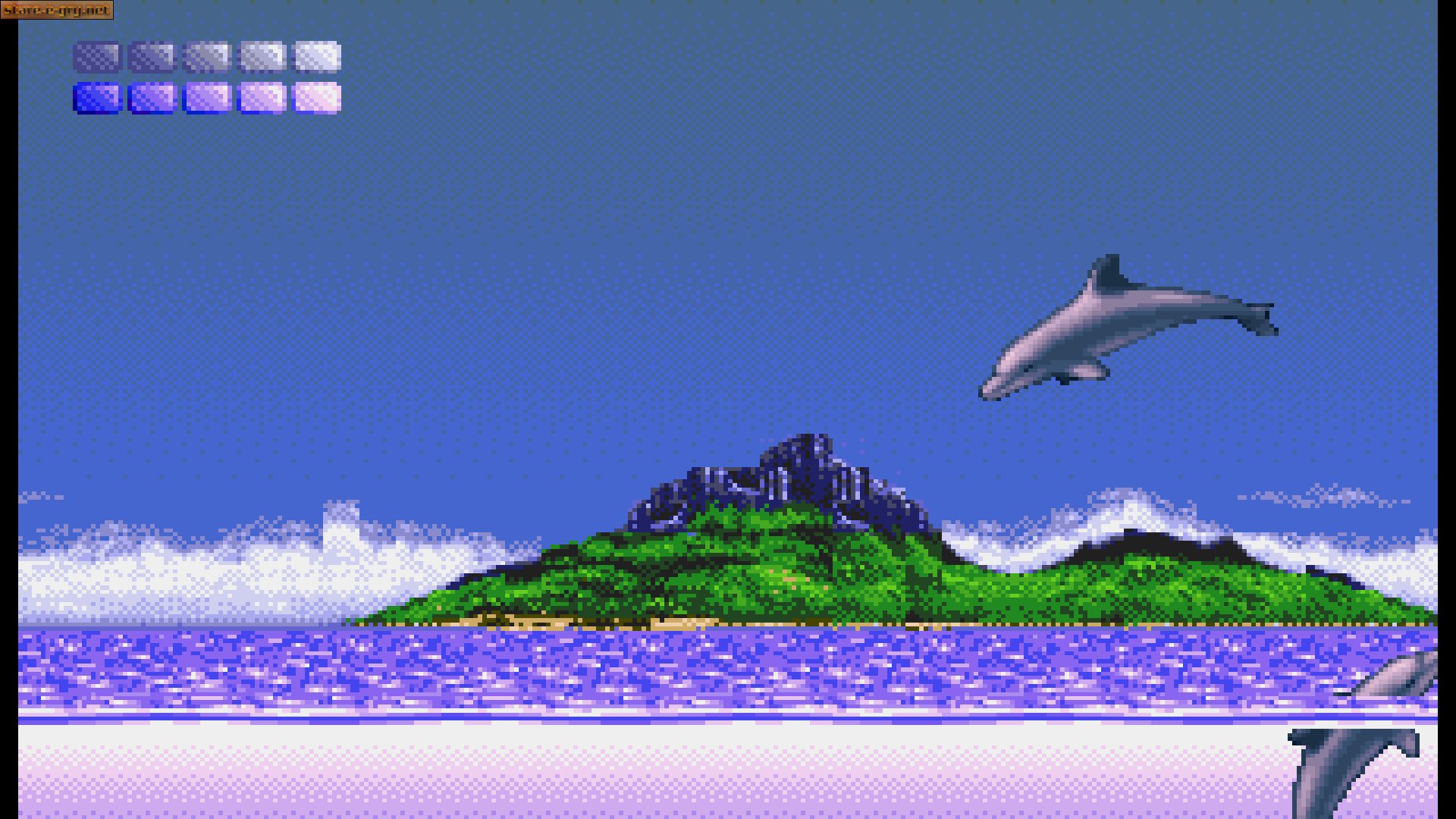 Ecco the Dolphin