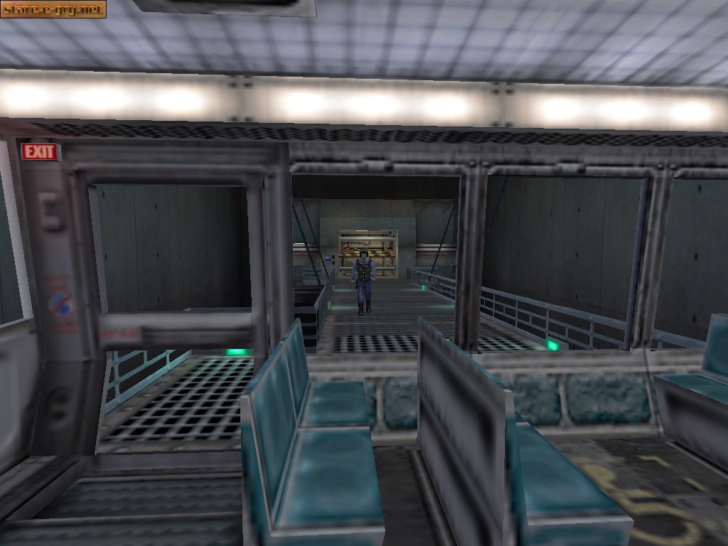 Half-Life