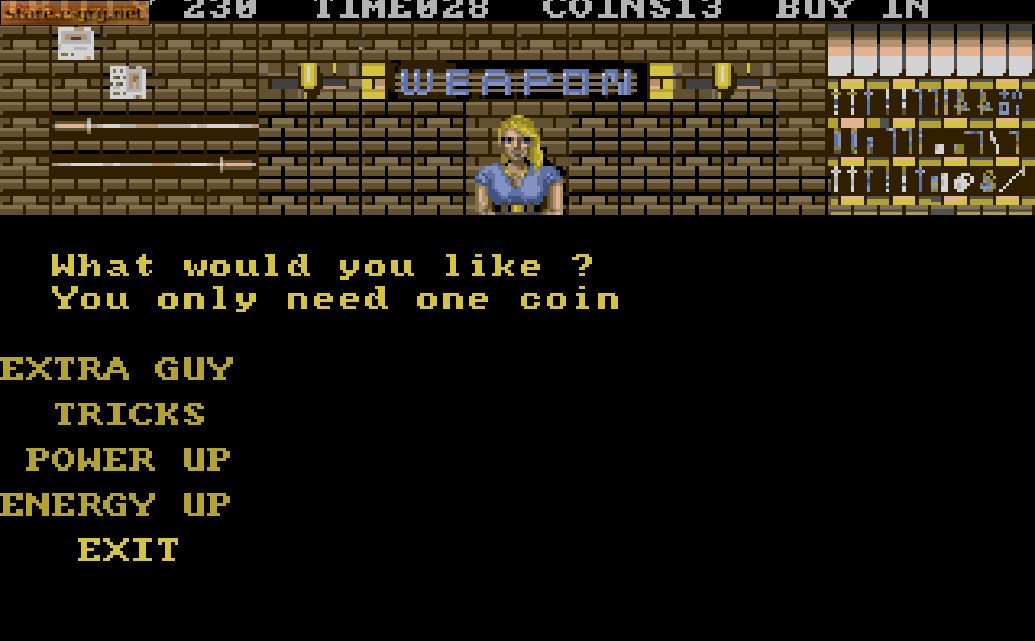Double Dragon 3: The Rosetta Stone