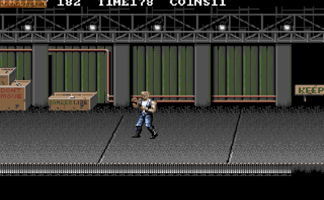 Double Dragon 3: The Rosetta Stone