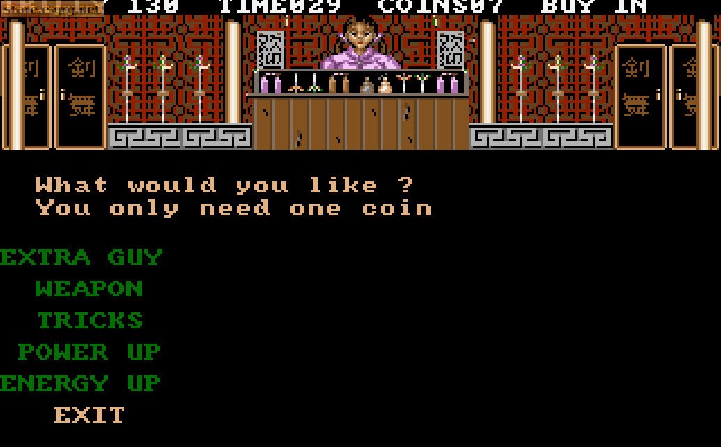 Double Dragon 3: The Rosetta Stone