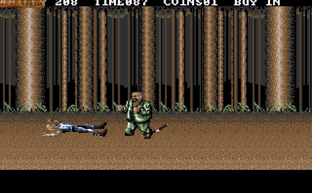Double Dragon 3: The Rosetta Stone