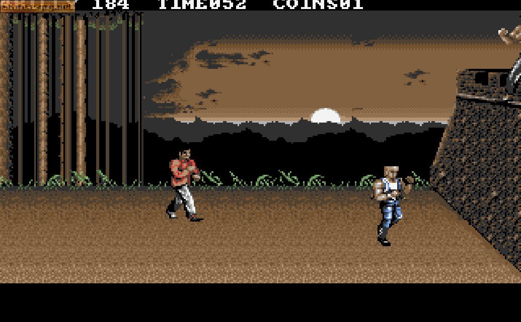Double Dragon 3: The Rosetta Stone