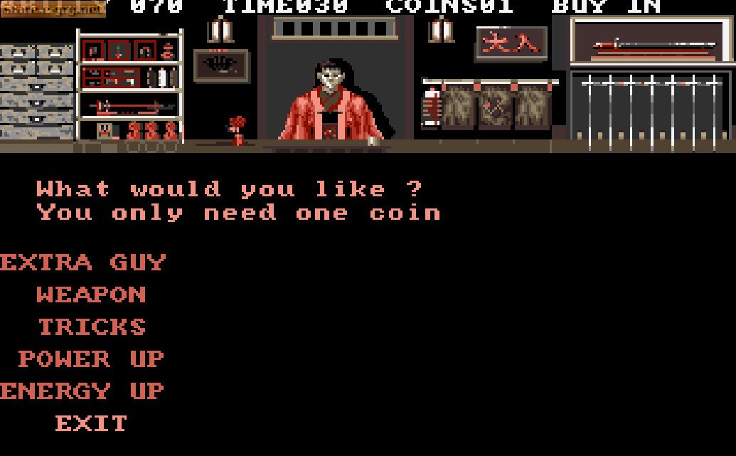 Double Dragon 3: The Rosetta Stone