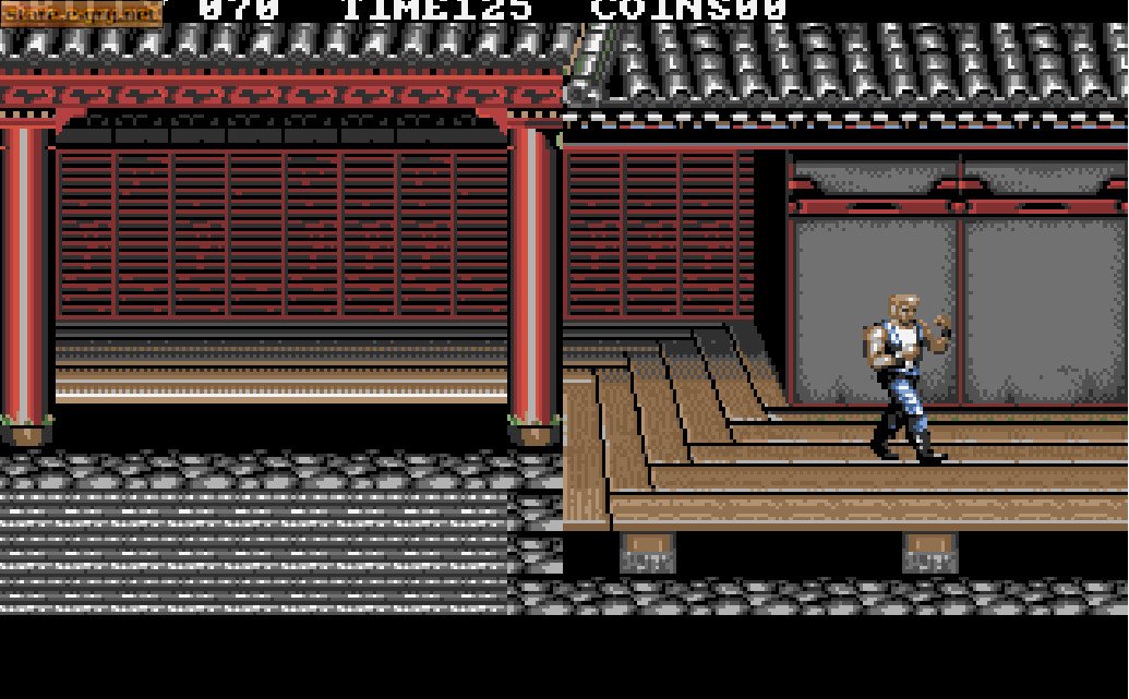 Double Dragon 3: The Rosetta Stone