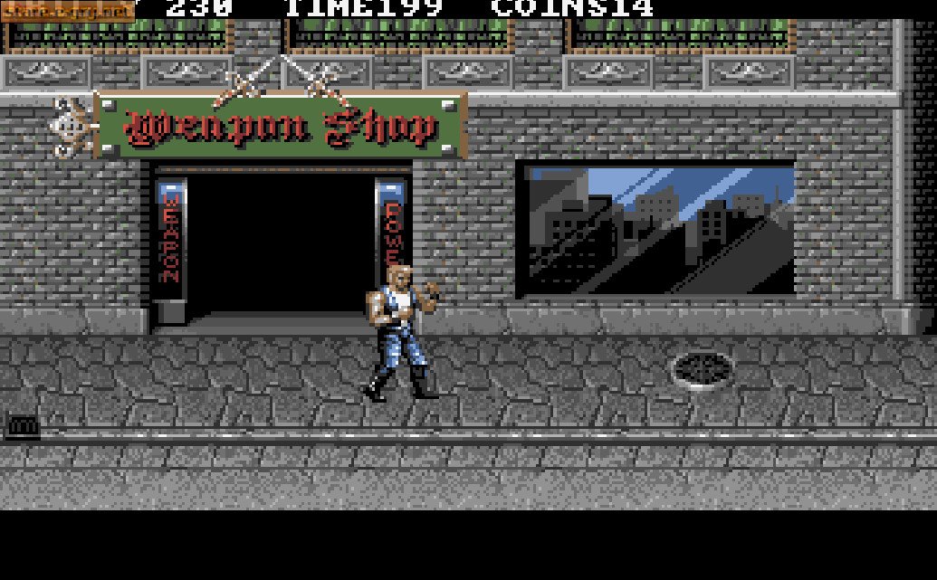 Double Dragon 3: The Rosetta Stone