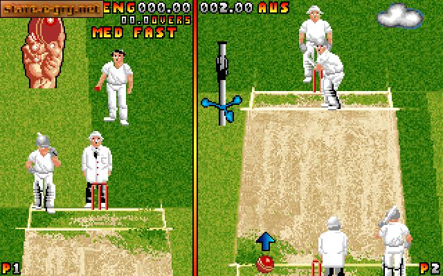Ian Botham's Cricket