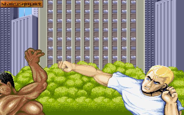 Street Fighter II