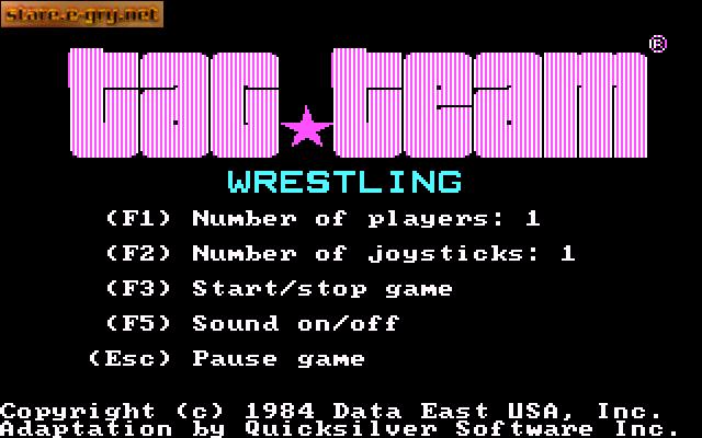 Tag Team Wrestling