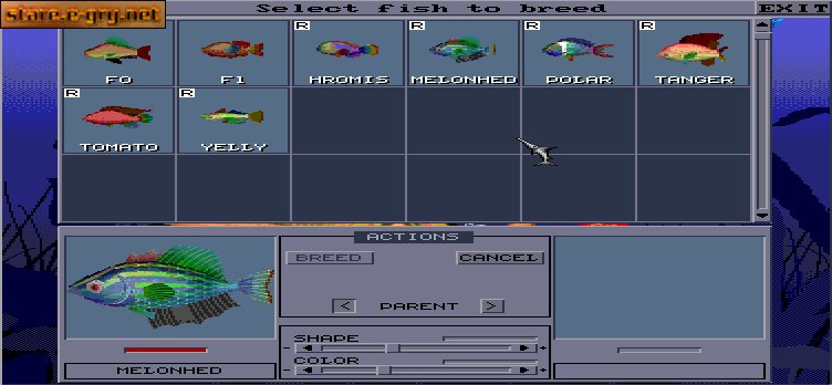 El-Fish