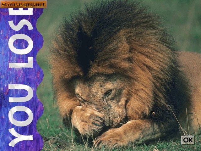 Lion
