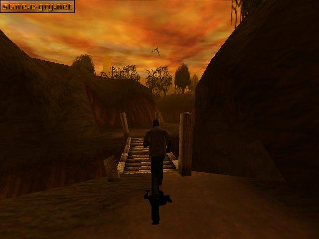 Shadow Man