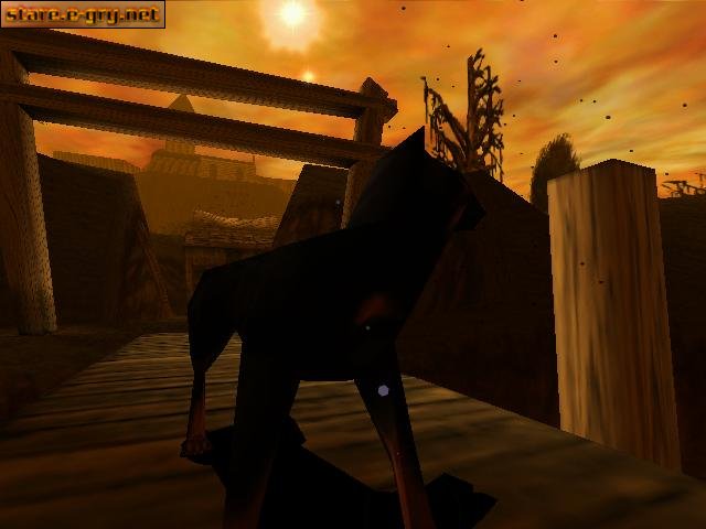 Shadow Man