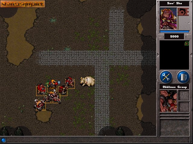 War Wind
