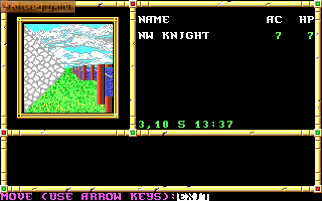 Neverwinter Nights