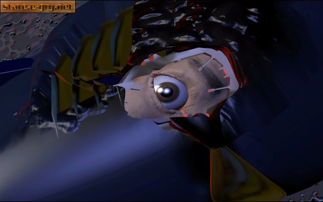Rise of the Robots