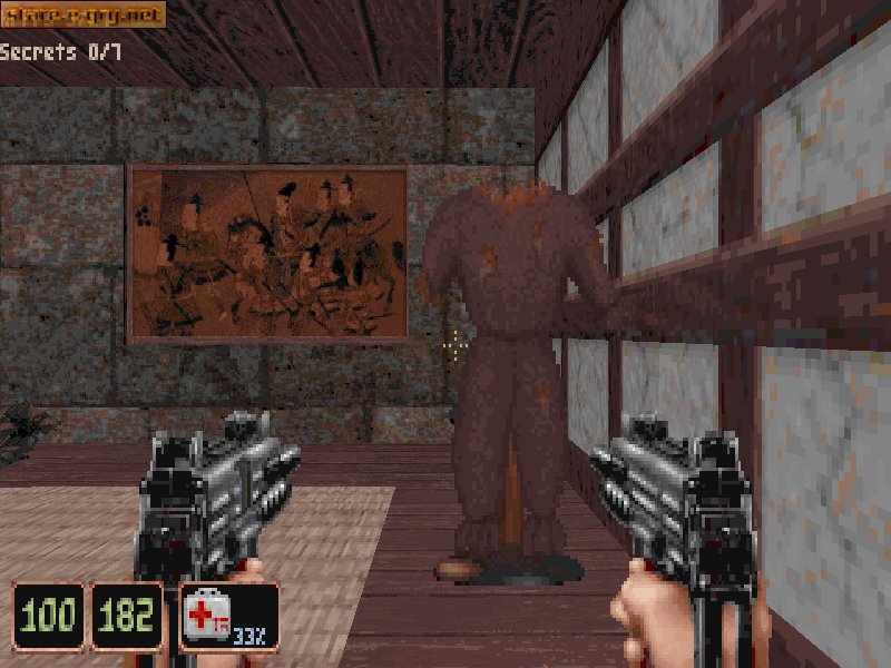Shadow Warrior