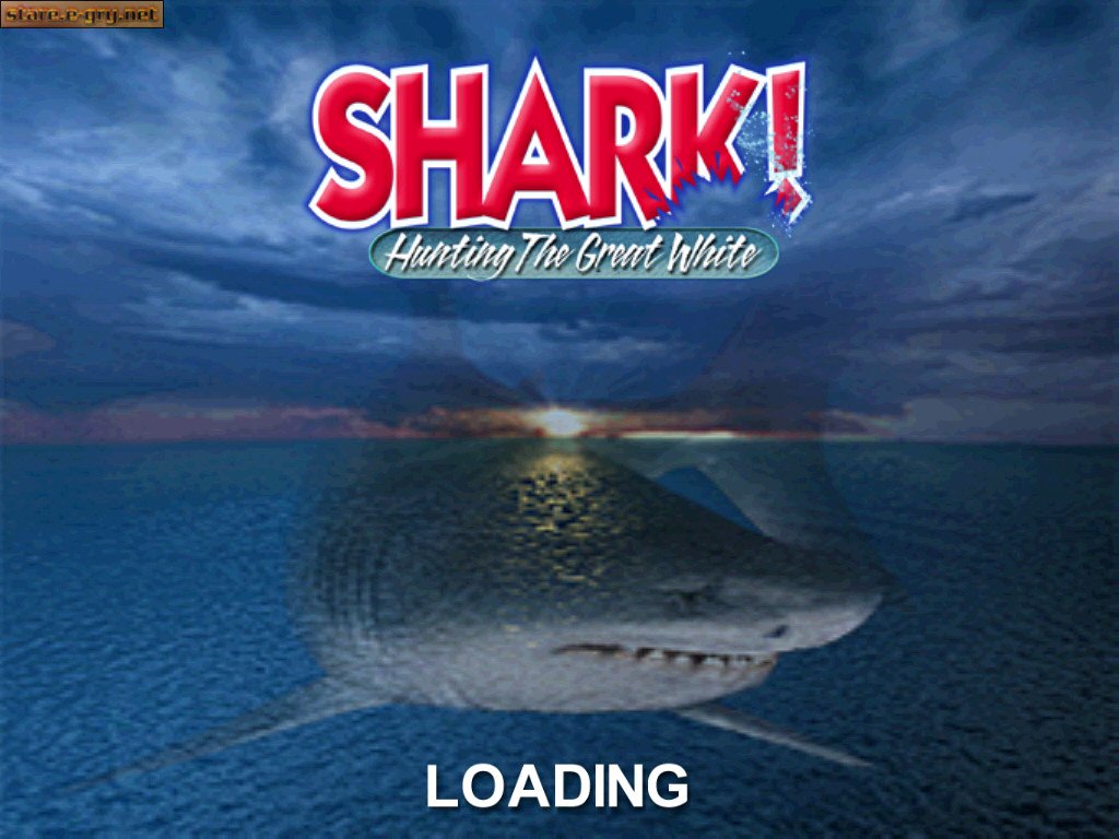 Shark! Hunting the Great White