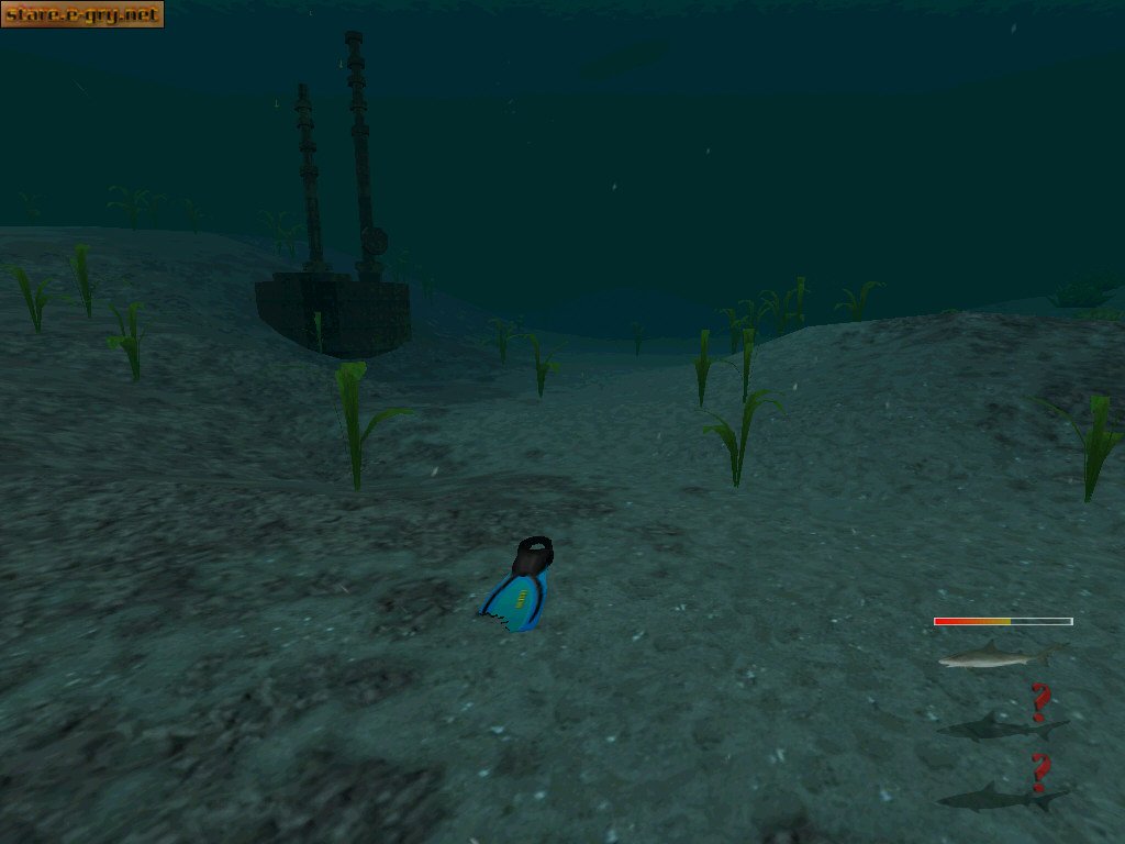 Shark! Hunting the Great White