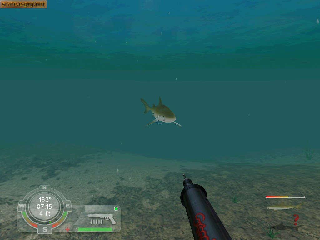 Shark! Hunting the Great White