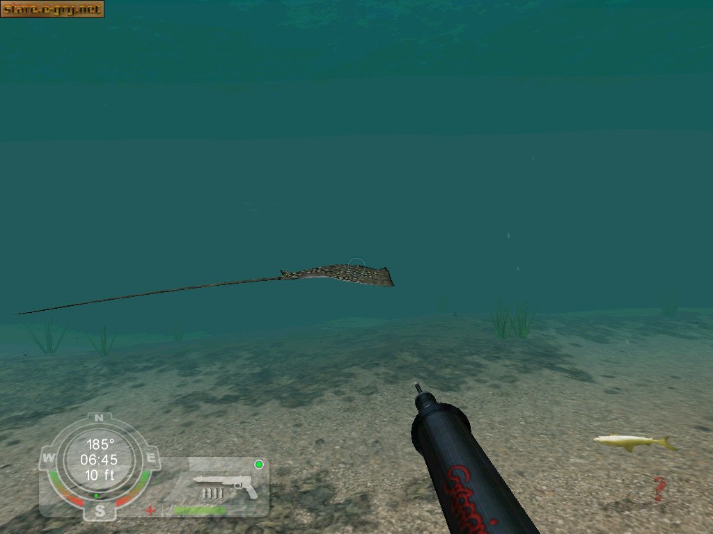 Shark! Hunting the Great White