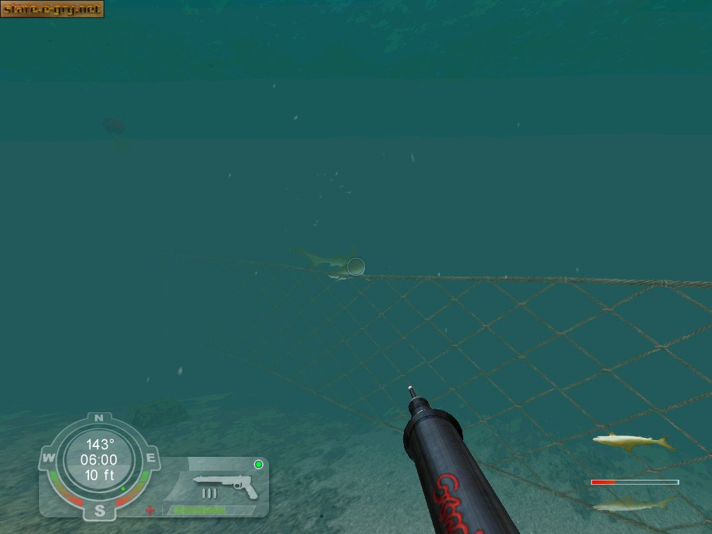 Shark! Hunting the Great White