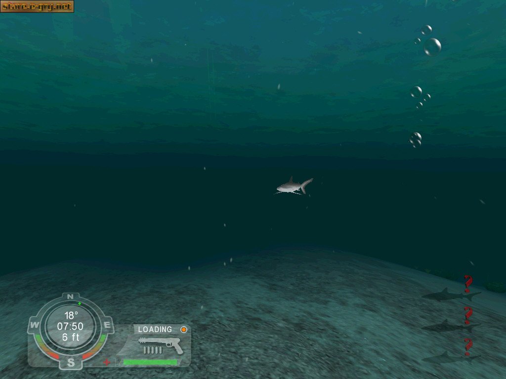 Shark! Hunting the Great White