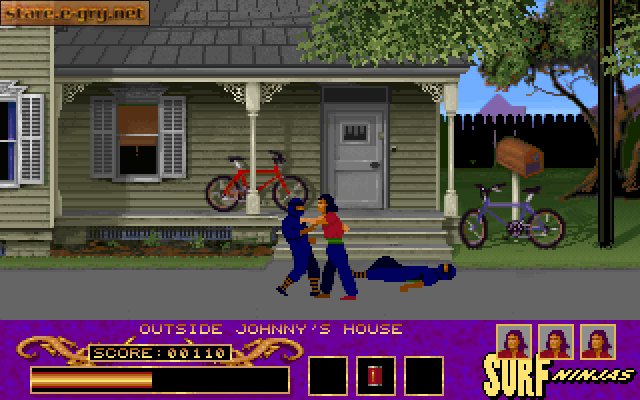 Surf Ninjas