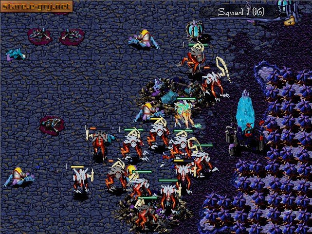 WarBreeds