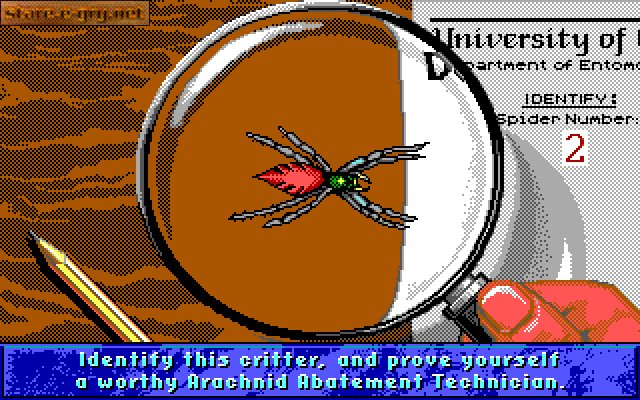 Arachnophobia