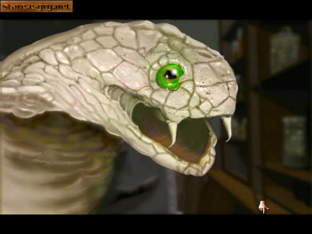 Are You Afraid of the Dark? The Tale of Orpheo's Curse