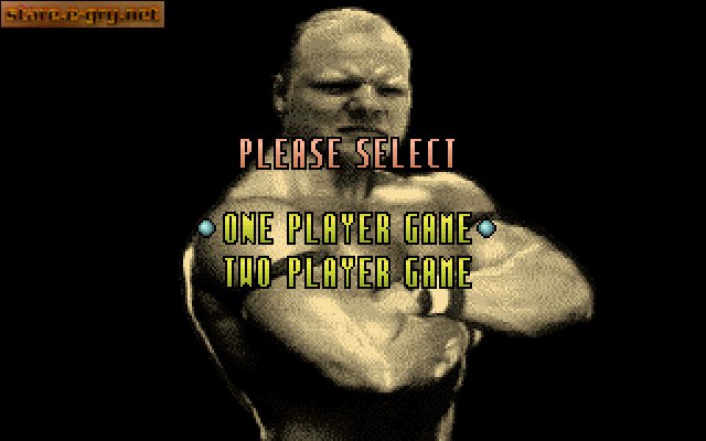 Body Slam: All-Star Wrestling