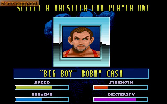 Body Slam: All-Star Wrestling