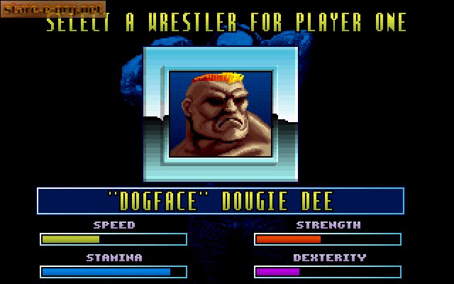 Body Slam: All-Star Wrestling