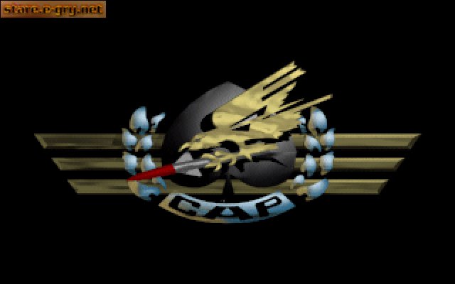 Combat Air Patrol