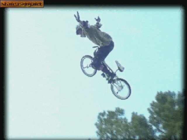 Dave Mirra Freestyle BMX