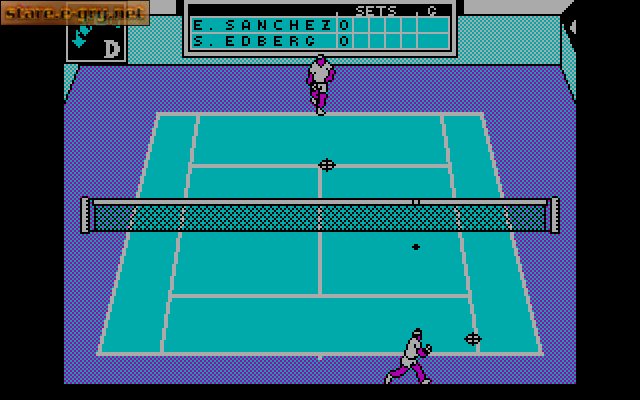 Emilio Sanchez Vicario Grand Slam