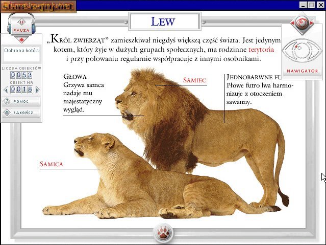 Encyklopedia Kotów