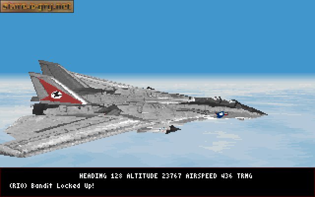 F-14 Tomcat: Fleet Defender