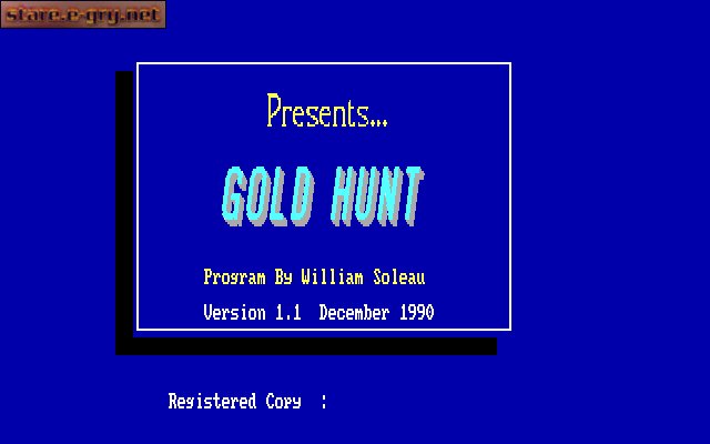 Gold Hunt